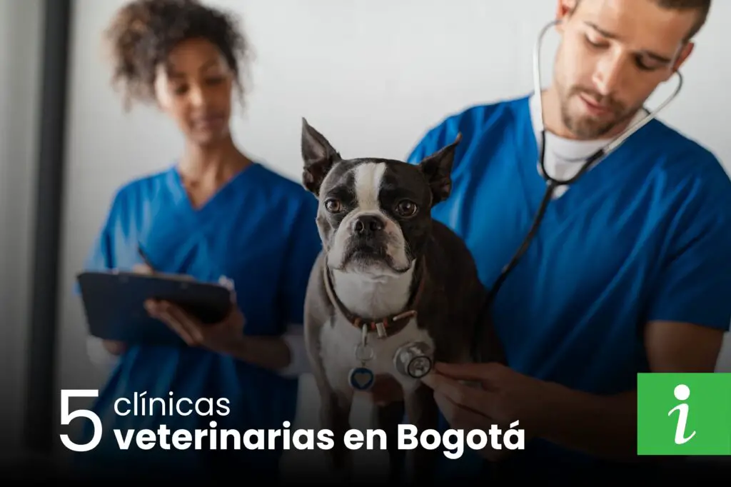Clínicas veterinarias en Bogotá, veterinarias en bogota, clinicas veterinarias bogota, clinicas veterinarias 24 horas, veterinarias urgencias bogota